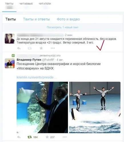 Как да премахнете туитовете си в профила си Twitter