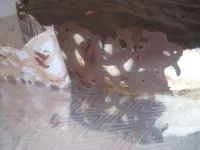 Как да се украсяват торта у дома