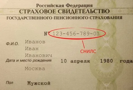Как да проверите онлайн чрез интернет SNILS