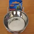 Как да се лекува с вълнисто папагалче на knemidokoptoza, expertoza