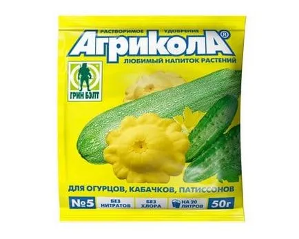 Как да растат краставици в избора на парникови разнообразие през зимата, семена за посев, пресаждане, грижи (през зимата) Как да растат краставици в избора на парникови разнообразие през зимата, семена за посев, пресаждане, грижи