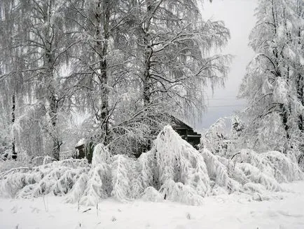 Как да оцелее без електричество в покритата със сняг село