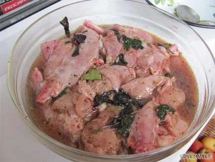 Как да се готви вкусно заек - стъпка по стъпка със снимки