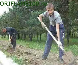 Как да спечелим пари в училище
