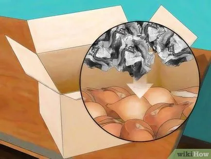 Как да съхранявате луковици на лалета