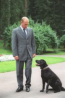 Какво е името на кучето на Путин какво порода куче на Путин