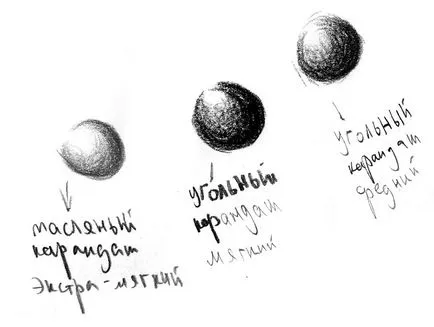 Моливи - какво е и какво се яде