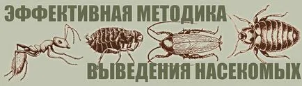 Mi jelenik meg a bolhák Mi jelenik meg a bolhák