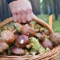 Какво сън пада самолет - тълкуване на сън, попадащи самолет в съня