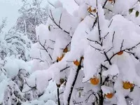 Защо мечтая за тълкуване на сън сняг - сняг мечта