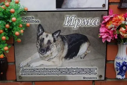 Гробище за домашни любимци в Москва, официалният Гробище за домашни любимци снимката Химки