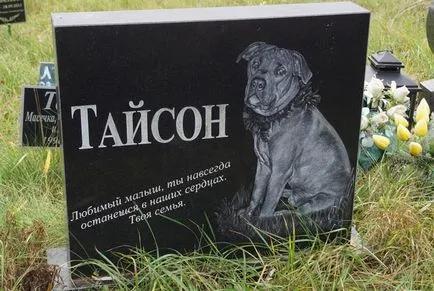 Гробище за домашни любимци в Москва, официалният Гробище за домашни любимци снимката Химки