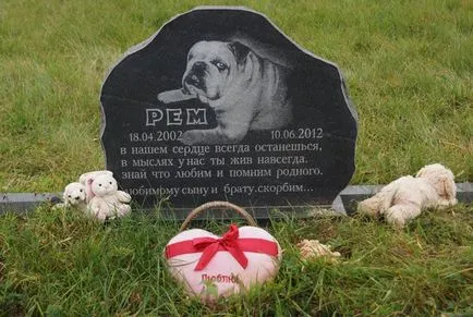 Гробище за домашни любимци в Москва, официалният Гробище за домашни любимци снимката Химки