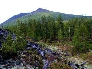 Климатичен район в България