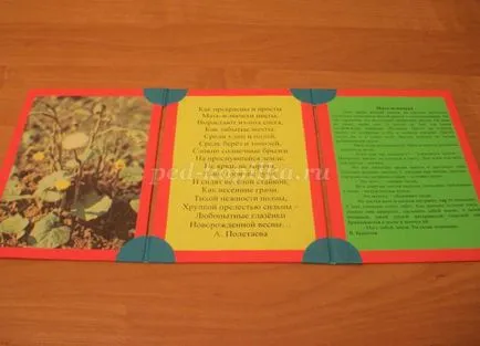 Book сгъваеми ръце 1