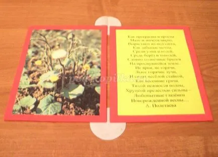 Book сгъваеми ръце 1