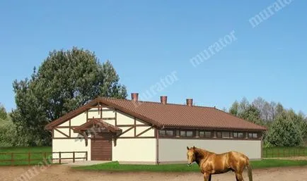 Стабилни видове и типове, как да се изгради стабилна (видове) Стабилни видове и типове, как да се изгради стабилни