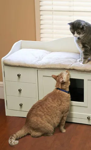 Котка Къща за аристократични котки (Cat къща за аристократични котки) Котка Къща за аристократични котки