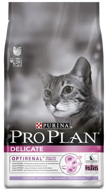 Cat Ъшър, повече от една котка