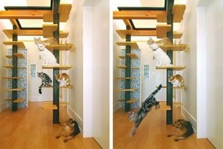 Котка Къща за аристократични котки (Cat къща за аристократични котки) Котка Къща за аристократични котки