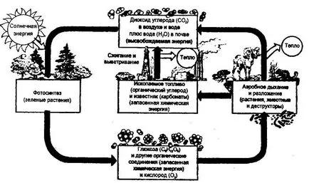 Движение на материя и енергия (енергия) Движение на материя и енергия