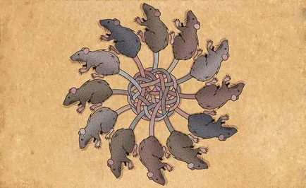 Rat King, мистериите на света