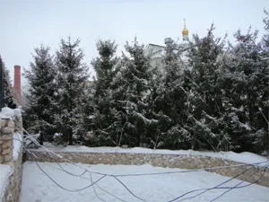 Озеленяване в Москва - firmel компанията