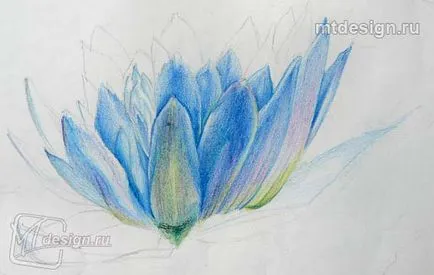 Лили акварелна молив, mtdesign (mtdesign) Водна лилия акварелни моливи, mtdesign