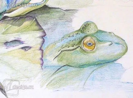 Лили акварелна молив, mtdesign (крем) Водна лилия акварелни моливи, mtdesign