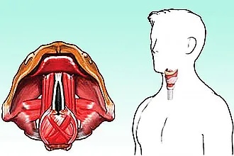 домашно лечение на гласните струни - как да се възстанови (възстановяване) Лечение на гласните струни в дома - как да се възстанови
