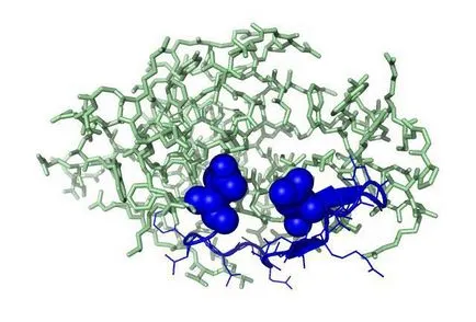 Лизозим - Какво е това лекарство лизозим инструкции за употреба, цена