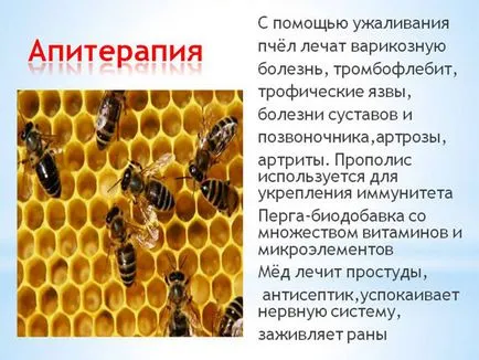 Лечение на херния народни средства най-добрите рецепти (междупрешленните) Лечение на херния народни средства най-добрите рецепти