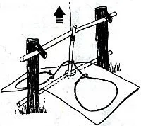 Улавянето животни капани - лов - статии за оцеляване - Киев портал оцеляване (риболов) Улавянето животни капани - лов - статии за оцеляване - Киев портал оцеляване