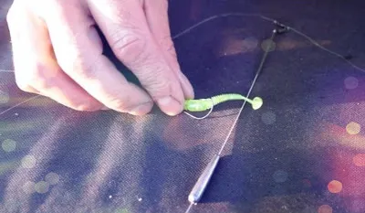 Блесна на техника за начинаещи, как да се извлече полза crankbaits, жига и попърс (оборудване окабеляване Попър) Блесна на техника за начинаещи, окабеляване методи crankbaits, жига еротични ароматизатори