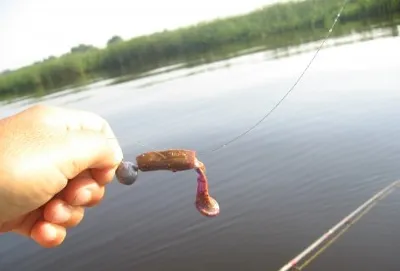 Блесна на техника за начинаещи, методи за окабеляване crankbaits, жига и попърс (окабеляване спиране и потегляне) Блесна на техника за начинаещи, окабеляване методи crankbaits, жига еротични ароматизатори