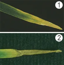 Макро, бизнес указател