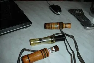 Decoy патица