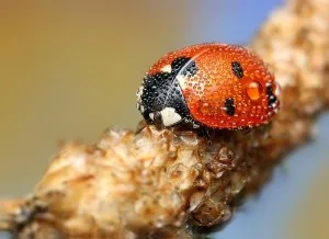 Macro за начинаещи