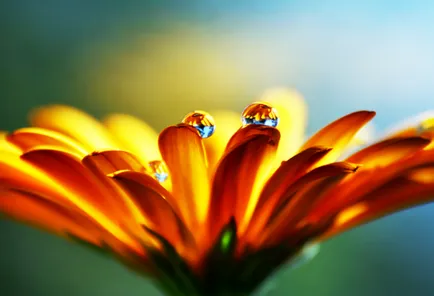 Macro за начинаещи