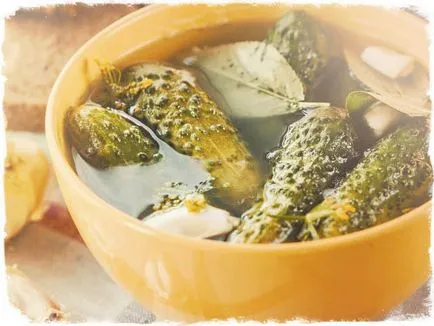 Солени краставици за бързо хранене - най-вкусните рецепти
