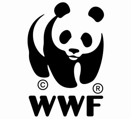 Panda és a hó törpemacska