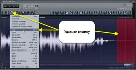 Овладяването на ет студио ч