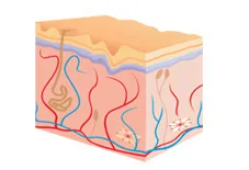 Микроциркулацията заболявания, подобрени (лекарства)