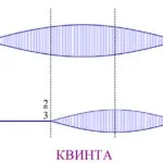Музикално звук и неговите свойства 1