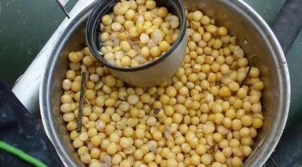 Какво кълве най-добре шаран стръв и примамки, през есента, зимата, пролетта и лятото