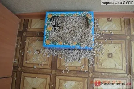 Пясък за котки любимата котка без да се налага еднократна тоалетна за котки - 