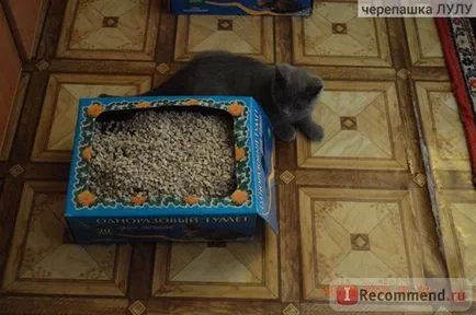 Пясък за котки любимата котка без да се налага еднократна тоалетна за котки - 