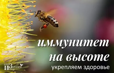 прополис тинктура
