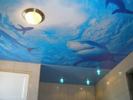Окачен таван в банята (снимка), Dream House