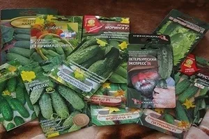 Нови сортове краставици през 2017 г. - магическите растения